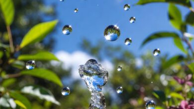 انشا درباره قطره قطره جمع گردد وانگهی دریا شود کلاس هفتم 9 انشا درباره قطره قطره جمع گردد وانگهی دریا شود کلاس هفتم